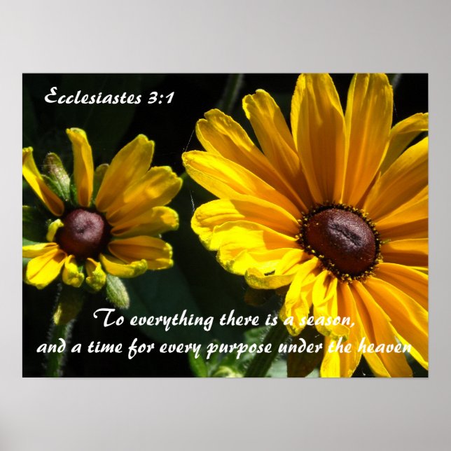 Schwarze Mit Augen Susans mit Scripting Verse Poster (Vorne)
