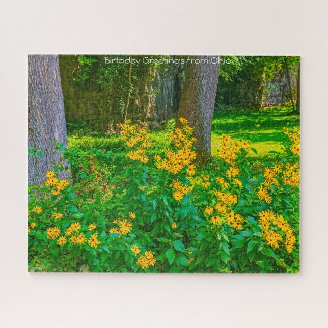 Schwarze Mit Augen Susans Ohio. Jigsaw Puzzle (Horizontal)