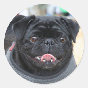 Schwarze Mops-Hundeaufkleber Runder Aufkleber