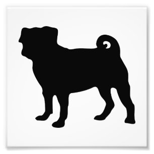 Schwarze Mops-Silhouette - einfacher vektorentwurf Fotodruck