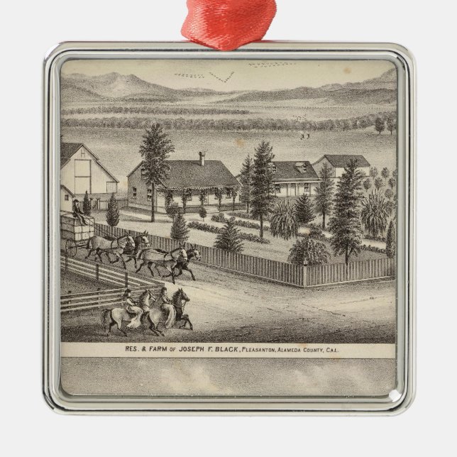 Schwarze, Nealresidenzen, Grundstücke Ornament Aus Metall (Vorne)