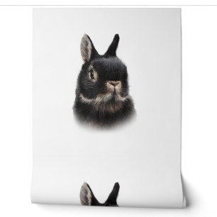 Schwarze Niederlande Zwerg Rabbit Bust Women's Uni Tapete