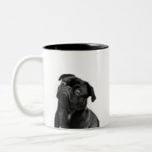 Schwarze niedliche Mops Zwei-Ton Tasse