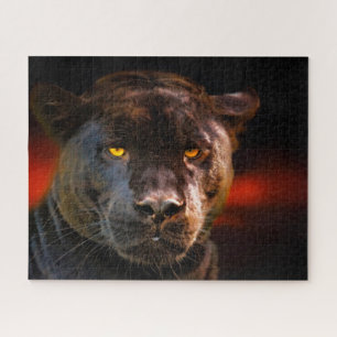 Schwarze Panther Großkatzen.