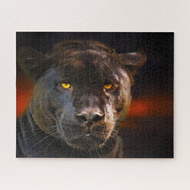 Schwarze Panther Großkatzen. (Horizontal)
