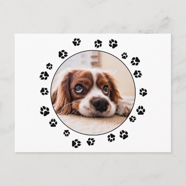 Schwarze Pawprints von Puppy-Foto Postkarte (Vorderseite)