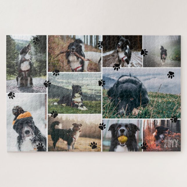 Schwarze Paws hinzufügen Jahr 10 Haustiere FotoCol (Horizontal)