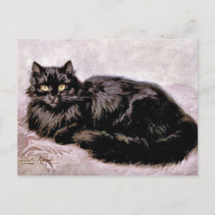 Schwarze Perserkatze Postkarte
