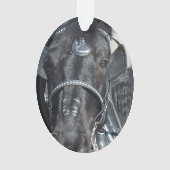 Schwarze Pferdeverzierung Ornament (Rückseite)