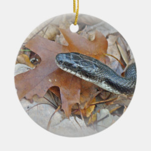 Schwarze Ratten-Schlange - Elaphe obsoleta Keramik Ornament