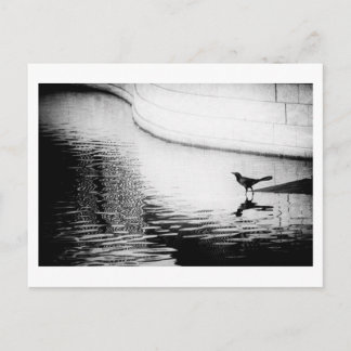 Schwarze Reihe mit Reflektion über Wasser - Foto P Postkarte