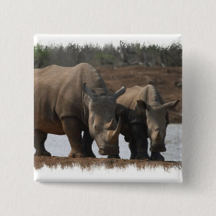 Schwarze Rhinos-quadratisches Button