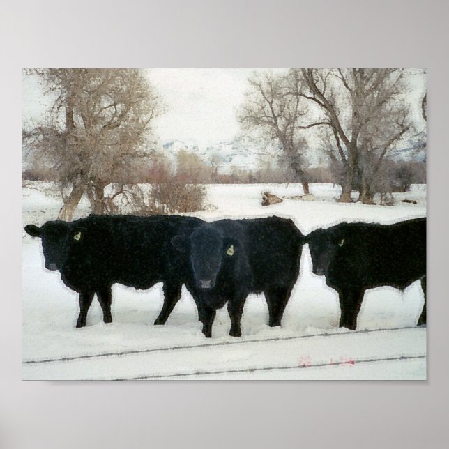 Schwarze Rinder im Schnee Poster (Vorne)