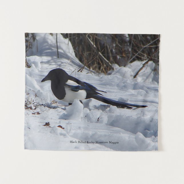 Schwarze Rocky Mountain Magpie Tapestes Wandteppich (Vorderseite (Horizontal))