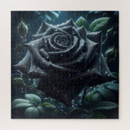 Schwarze Rose