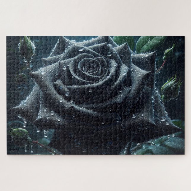 Schwarze Rose (Horizontal)