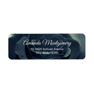 Schwarze Rose Dunkle Gotische Blume Foto