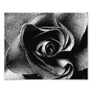 SCHWARZE ROSE FOTODRUCK