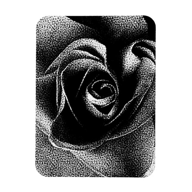SCHWARZE ROSE MAGNET (Vertikal)