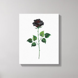 Schwarze Rosenblume Leinwanddruck