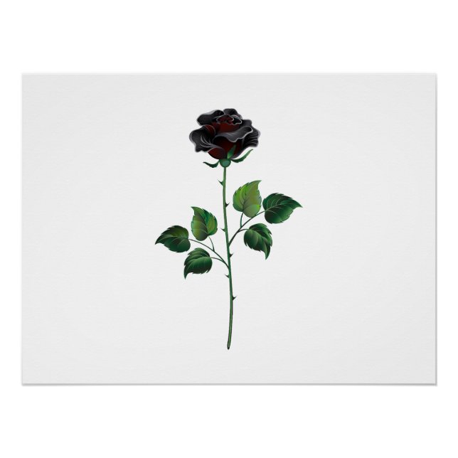Schwarze Rosenblume Poster (Vorderseite)