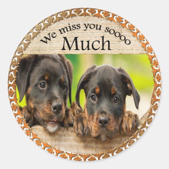 Schwarze Rottweiler niedliche Hunde mit traurigen  Runder Aufkleber (Vorderseite)