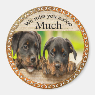 Schwarze Rottweiler niedliche Welpenhunde mit Magnet