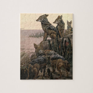 Schwarze Rücken-Schakale von Winifred Austen