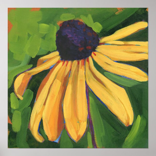 Schwarze Rudbeckie Große Blumen Poster (Vorne)