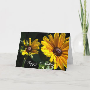 Schwarze Rudbeckien zum Geburtstag Karte
