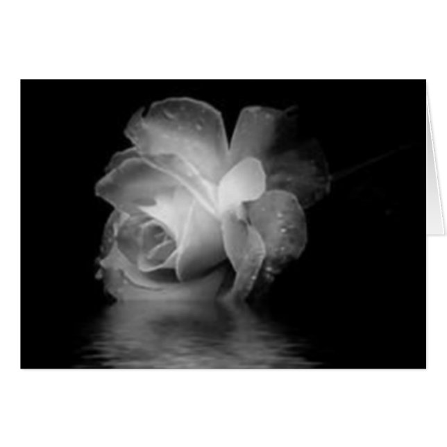 Schwarze Schatten-Rose (Vorderseite (Horizontal))