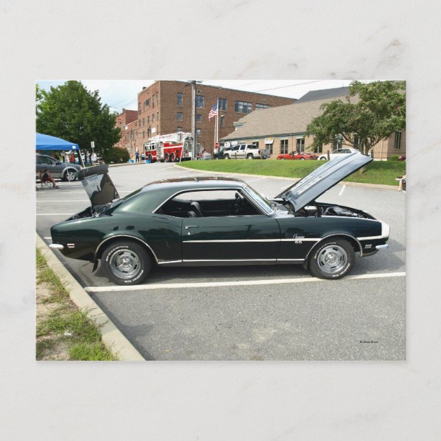 Schwarze Schönheit 2 Postkarte (Vorderseite)