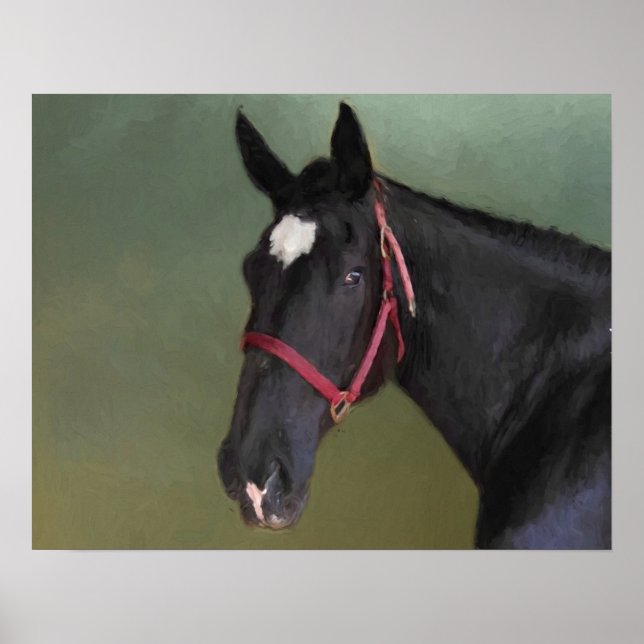 Schwarze Schönheit Poster (Vorne)