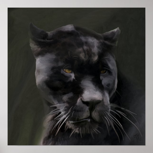 Schwarze Schönheit Poster (Vorne)