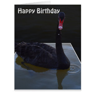 Schwarze Schwan-Tröpfchen im Teich, Jumbo-Geburtst