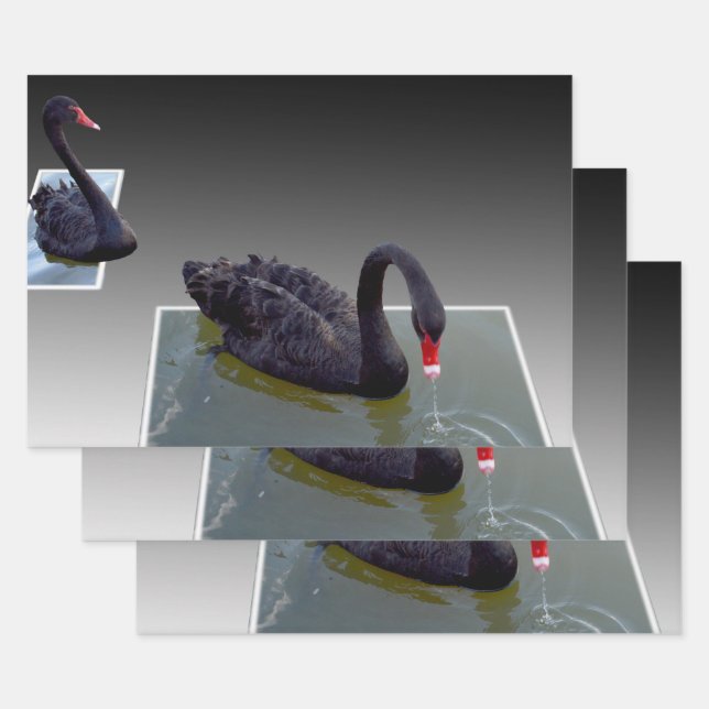 Schwarze Schwäne in Teichen, Geschenkwraps, entkle Geschenkpapier Set (Set)
