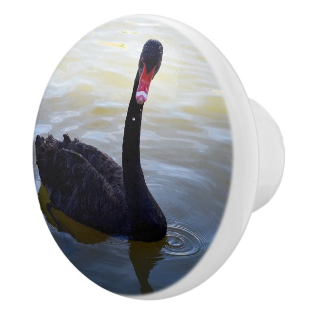 Schwarze Schwanentropfen im Teich, Keramikknauf (Rechts)
