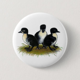 Schwarze schwedische Entenküken Button