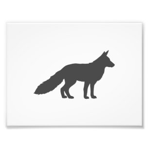 Schwarze Silhouette eines flauschigen Fuchses Fotodruck
