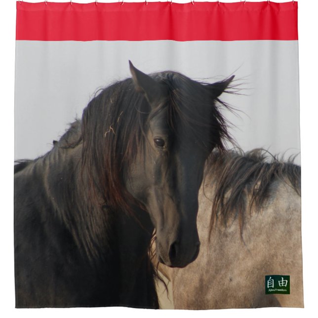 SCHWARZE STALLION WILL HORSE MAGEE SHOWER CURTAT DUSCHVORHANG (Vorderseite)
