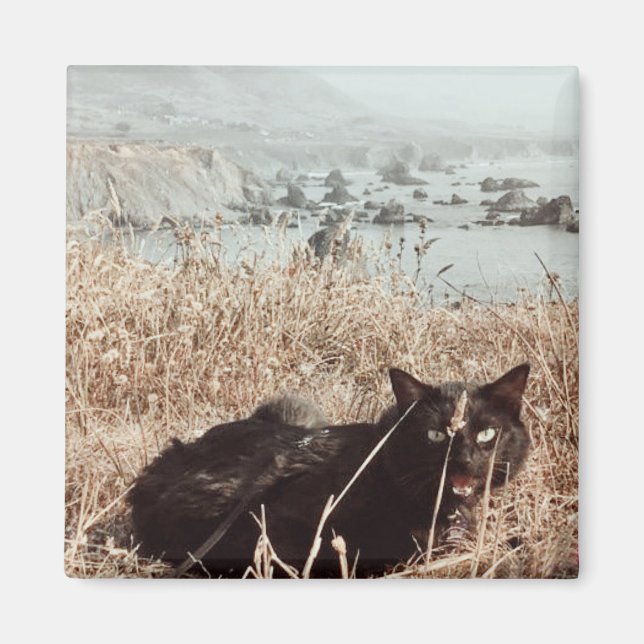 Schwarze Strandkatze Magnet (Vorne)