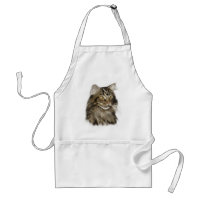 Schwarze Tabby-Maine-Waschbär-Katze