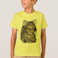 Schwarze Tabby-Maine-Waschbär-Katze