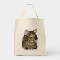 Schwarze Tabby-Maine-Waschbär-Katze