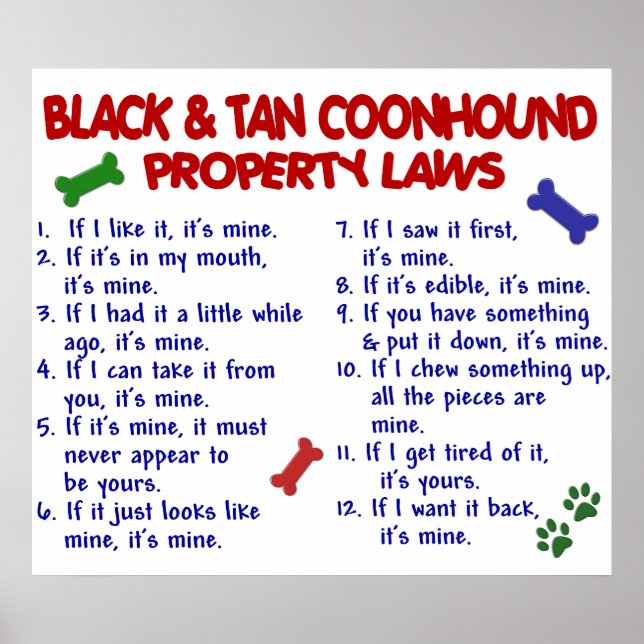 SCHWARZE TAN COONHOUND PL2 POSTER (Vorne)