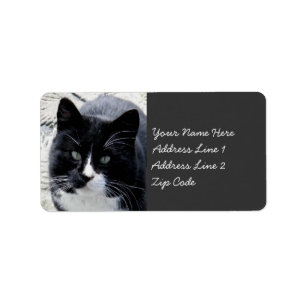 Schwarze Tom-Katze mit weißen Markierungen Adressaufkleber
