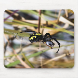 Schwarze u. gelbe Argiope-Garten-Spinne Mousepad