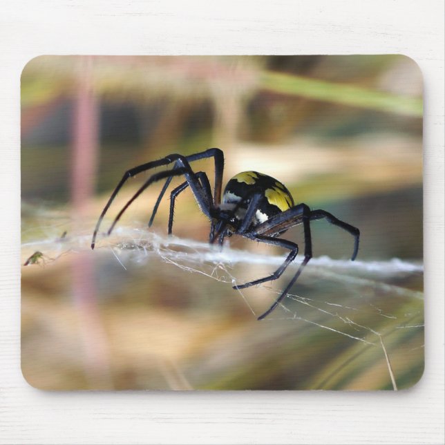 Schwarze u. gelbe Argiope-Garten-Spinne Mousepad (Vorne)