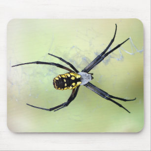 Schwarze u. gelbe Argiope-Garten-Spinne Mousepad