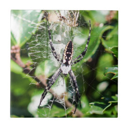 Schwarze u. gelbe fliese